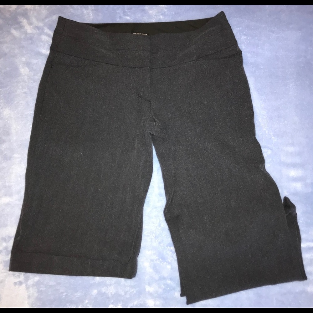 Express Editor Pants, Navy, Size 4r, Euc - image 5